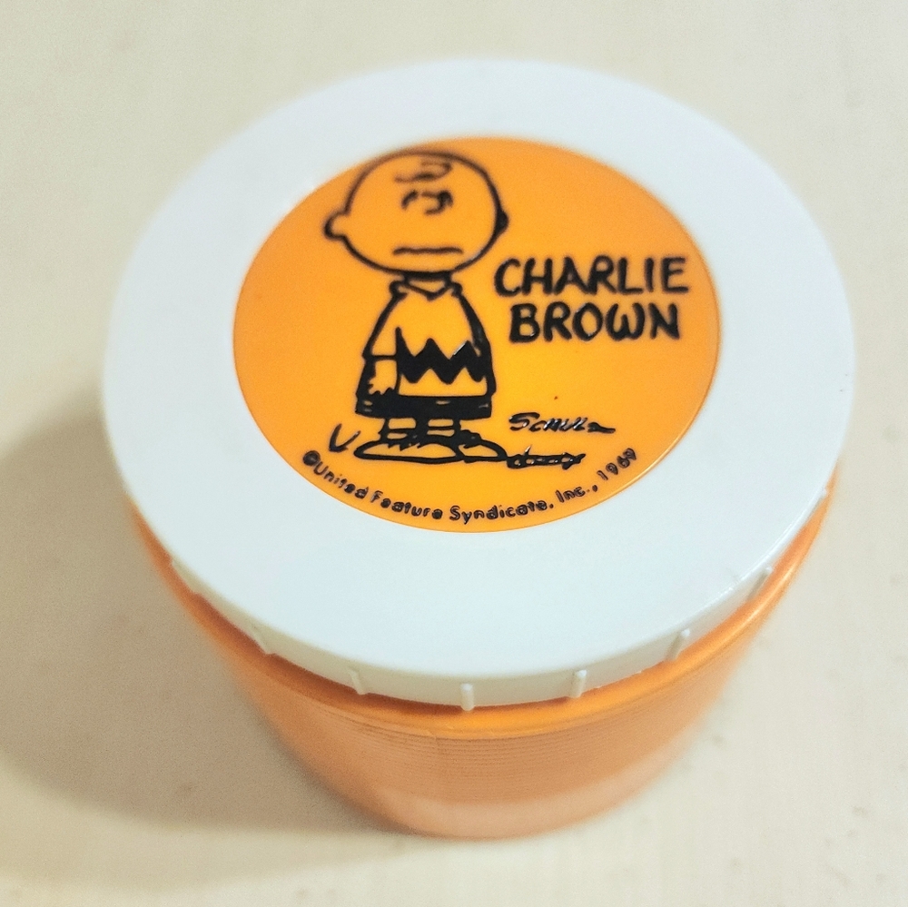 Vintage 1969 Charlie Brown Peanuts Insulated Soup Thermos